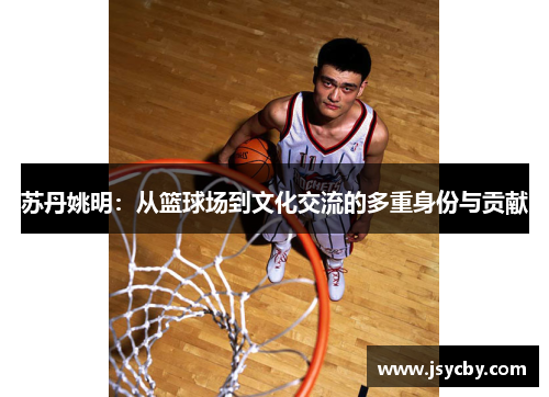 苏丹姚明：从篮球场到文化交流的多重身份与贡献