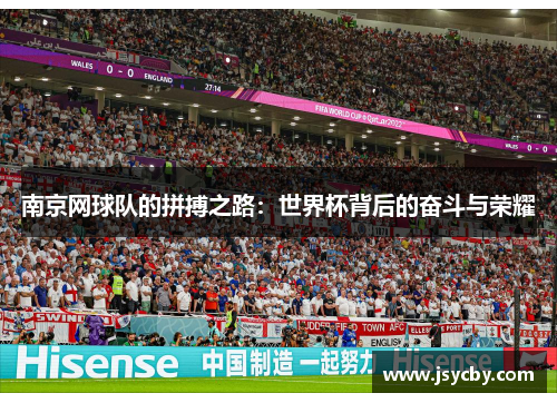 南京网球队的拼搏之路：世界杯背后的奋斗与荣耀